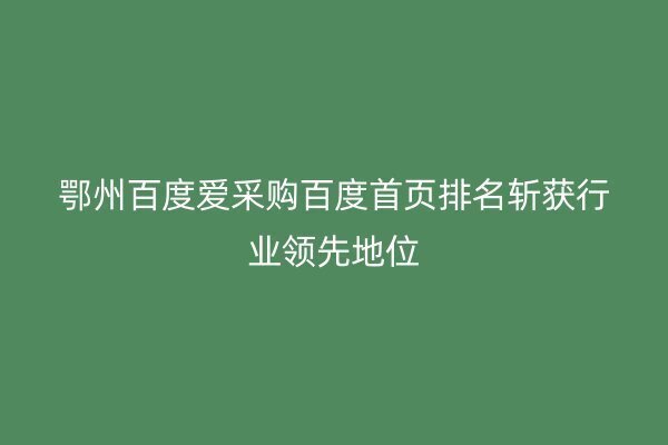 鄂州百度爱采购百度首页排名斩获行业领先地位