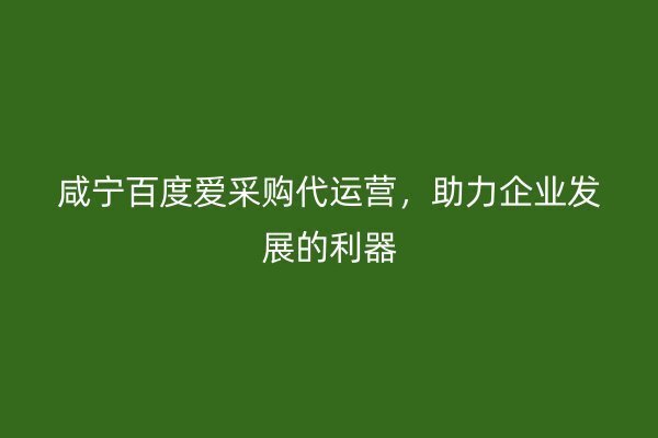咸宁百度爱采购代运营，助力企业发展的利器