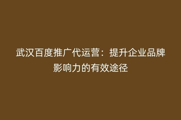 武汉百度推广代运营